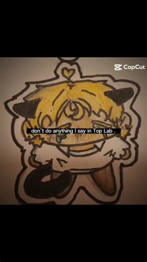 I will be making a discord soon for people who are interested in Top Lab and want to draw for it :3