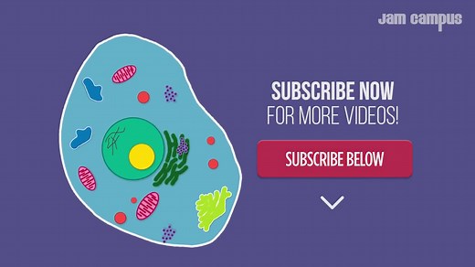 【细胞之歌】The part of cell song