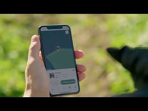 SpotOn Fence: The Most Reliable GPS Fence for Dogs