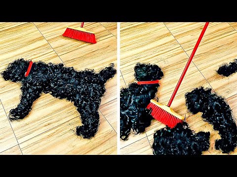 LAS 31 MEJORES BROMAS MÁS GRACIOSAS PARA HACER A TUS AMIGOS