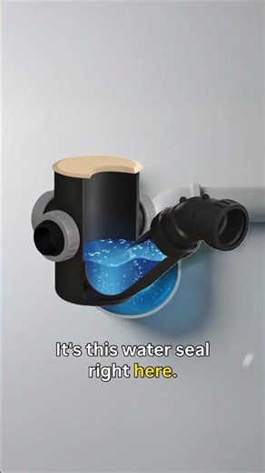 How a Plumbing Trap Works: Why Your Shower Doesn’t Smell!👃🚽