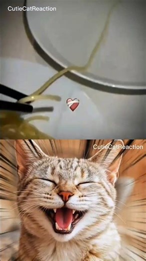 give this video title 💀😂 (warning answer) #cat #dance #memes #reelschallenge