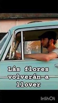 La lluvia de flores #cortometraje #cortos #poesia #siam #realismomágico