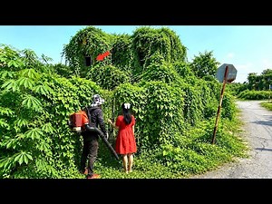 girl paid $18,000 for house overgrown with weeds that completely covered fence - unexpected ending