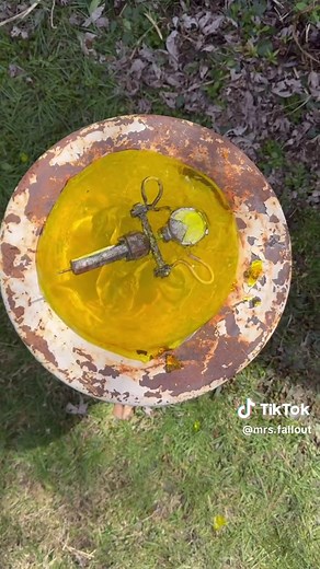 Mrs.Fallout on TikTok