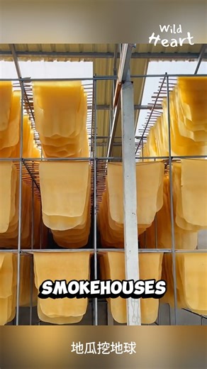 4M views · 41K reactions | Processing Natural Rubber #interestingfacts #rubber #agriculture | Wild Heart | Facebook