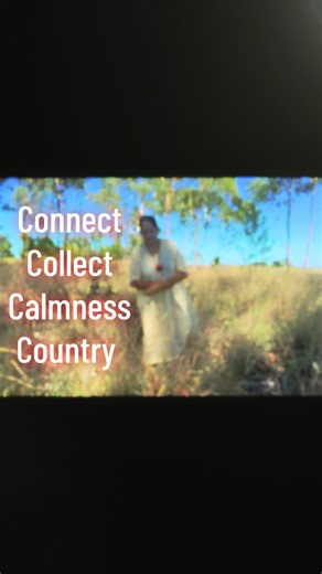 Connect Collect Calmness Country 🌾💛