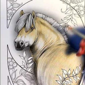 Simple Tips To Color A Horse With Colored Pencils