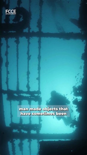 Dive in, why scuba is the ultimate travel adventure