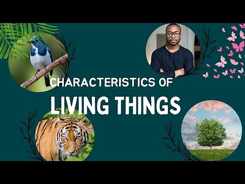 What Makes Something Alive? Discover the Characteristics of Living Things with MRS NERG!