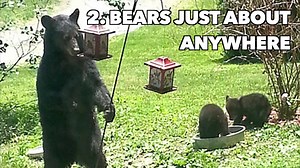 9K views · 36 reactions | Be careful out there. It's dangerous in Pa....