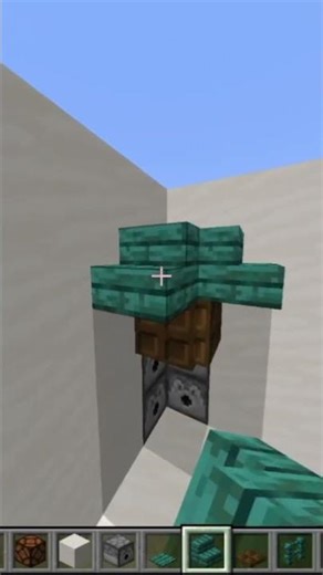 outo wear armour#minecraft