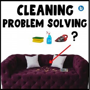 LIFE SKILLS: Problem Solving- Home Management- Cleaning & CHORES 1st Edition
