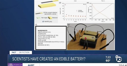 Fact or Fiction: Scientists create fully edible battery?