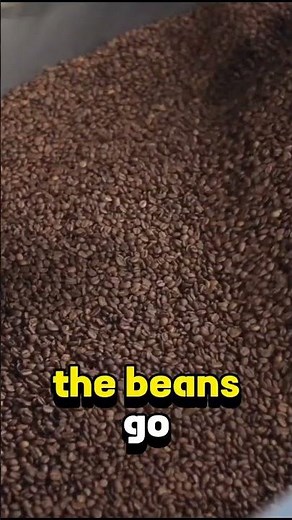 complete process of coffee bean #youtubeshorts #youtubeshorts #coffeebeans