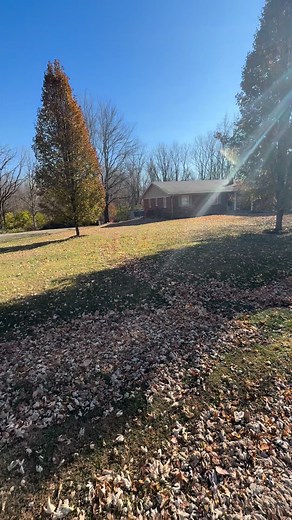 Full day of leaf cleanups for A.P Mowing&Landscaping today! Schedule yours now! 463-206-6108 Fully insured Teenage owned and operated | A.P. Mowing&Landscaping