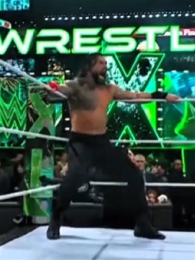 Top Best Finishers in WWE History