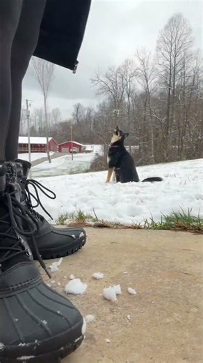 When the sidewalk is slick, the parking lot is icy, and your socks are already cold — these are the