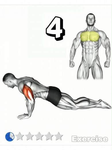 Upper Body Push Up Workout Routine