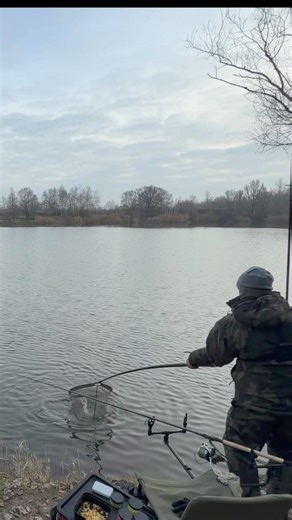 Big carp - Method Feeder Winter #wędkarstwo #fishing #carp #methodfeeder #angler #feeder #ryby #fish