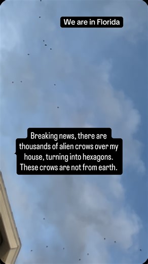 Brian Ladd on Instagram: "Just hanging out with thousands of alien froze over my house. These are holographic, alien projections of crows. Watch my cameras behavior slow it down when you see the screen glitch. Everything turns into spending hexagons. Today is November 12, 2025 St. Lucie county Florida. #crows#alien crows#birds#alien birds. My wife and I document UFO and alien activity in St. Lucie county Florida. We have been doing this for over a year. All our work is public domain. You are fre