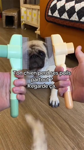 Mon chien perdait ses poils partout… jusqu’à ça 🐶 PawNova a changé nos séances de brossage. 🛒 Lien en bio #c#chienc#chiensp#poilsdechient#toilettagechienastucechien