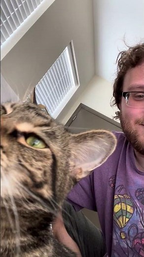 Singing Crazy Bus from Arthur to my cat