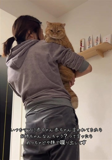 オリジナル楽曲 - mを使っているm (@moyi.xx)の動画