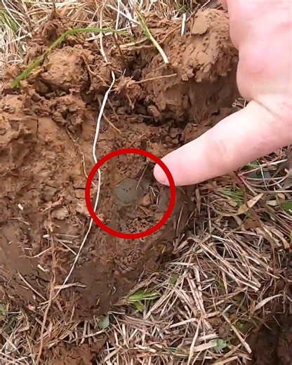 Signals From the Past... #historyseekers #history #adventures | History Seekers