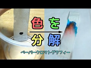 黒は黒じゃない！？ 紙と水でペンの色を分解！【ペーパークロマトグラフィー】