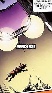 The sad origin of DogPool 😢