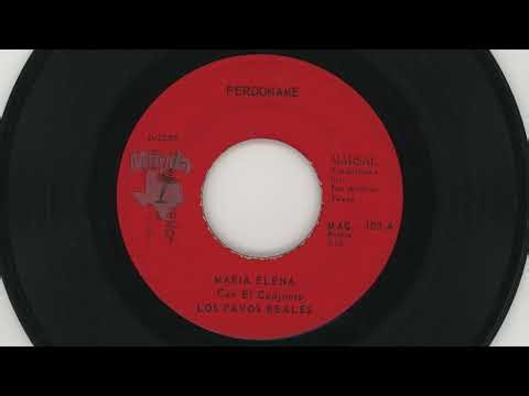 Maria Elena Con El Conjunto Los Pavos Reales - Perdoname