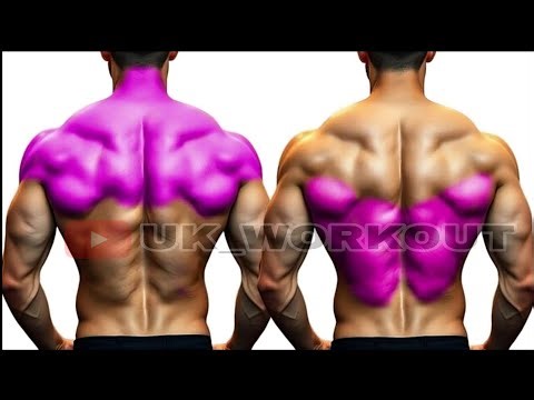 The Back Workout At Gym For Men