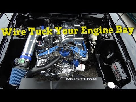 How to get a clean Sn95 Mustang engine bay Part1