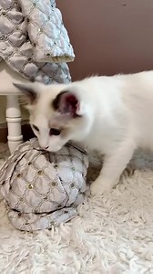 Luxury Winter Jacket in Brocade With Fleece Lining to Stay Warm and Comfortable in Style - Etsy UK