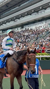 VOYAGE BUBBLE and J MAC take out the Hong Kong Triple Crown with a superb performance in the G1 Champions & Chater! 🏆 #HKracing #TripleCrown #LoveRacing | World Horse Racing