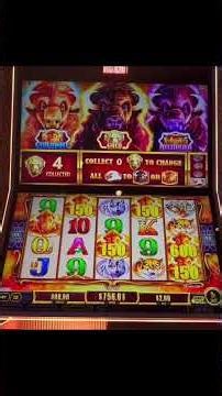Chaos luck showed UP!!! Lucky RARE TRIPLE BONUS on Buffalo Gold Cash #casinowins #slotbonus