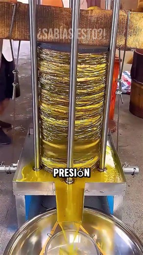 This Is How Real Olive Oil Is Produced!
