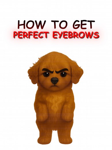 How to Get Perfect Eyebrows: Step-by-Step Guide