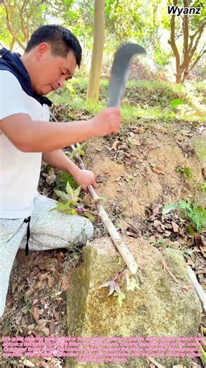 person chopping branch on stone with machete | daily farm work routine