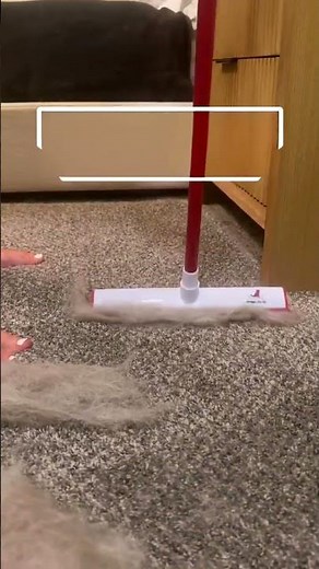 This Magic Broom Removes ALL Cat Hair! #Shorts 🤯