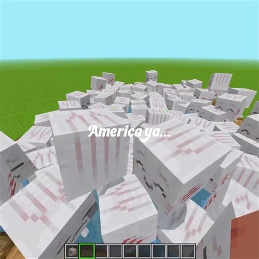 America yaa.... #minecraftmemes #minecraftshorts #roxyminecraft