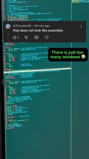if you wanna learn more about the work - its in emulationonline.com #emulation #coding #code #assemb
