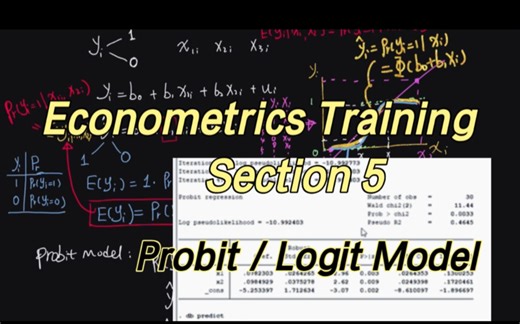 计量经济学进阶速成系列(英语授课) | 第五讲：Probit/Logit Models