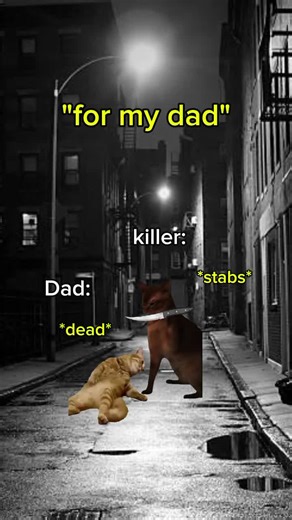 "for my dad" #cat#story#meme