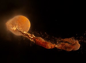 Supercomputer Simulation Predicts That Earth's Moon Formed in Mere Hours from a Collision