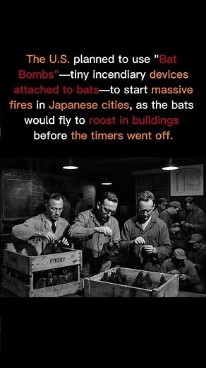 How Bats Nearly Became America’s Secret Weapon