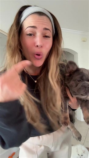 The cat was a paid stalker | cat