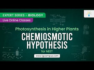 Chemiosmotic Hypothesis | Photosynthesis in Higher Plants | NEET | Biology - TG Campus
