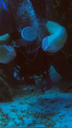 Underwater Cavern Explorer - Carlos